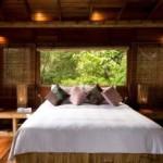 Tree Top Chalet